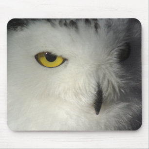 Coruja nevado Mousepad