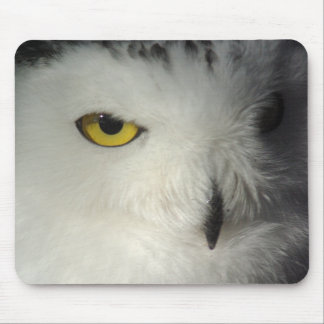 Coruja nevado Mousepad