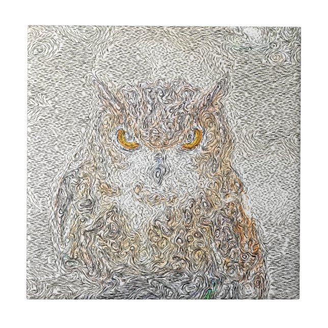 Coruja Observando (Frente)