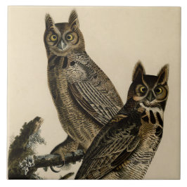 Corujas excelentes (por John James Audubon)