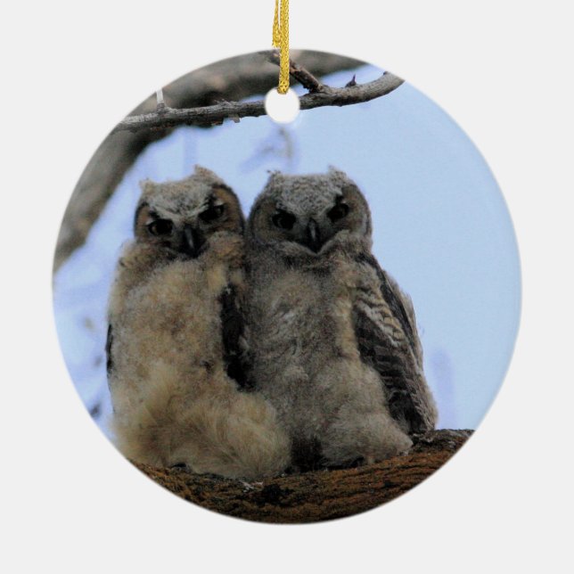 Corujas Gêmeas - Ornamento Cerâmico (Traseira)