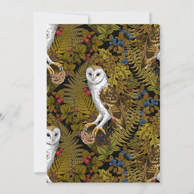 Corujas, samambaias, carvalho e bagas 2 (Frente)