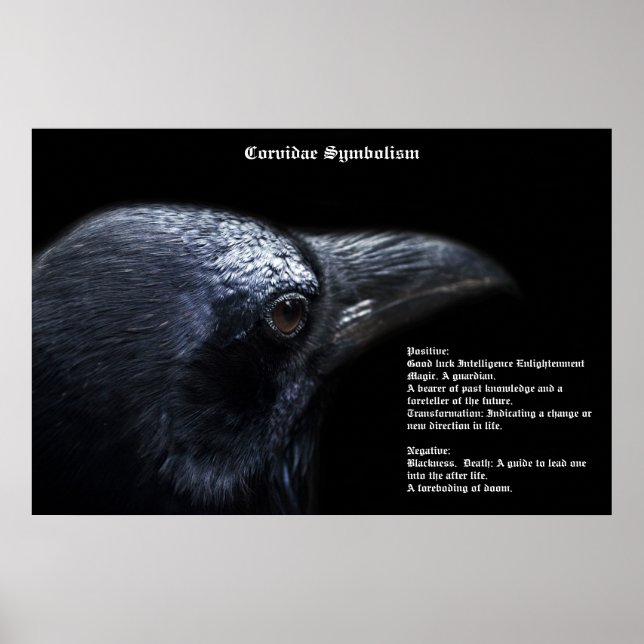 Corvidae Symbolism Poster (Frente)