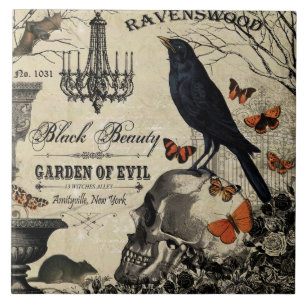 corvo e crânio modernos do Dia das Bruxas do