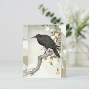 Corvo Koson Japonês Pássaro Corvo