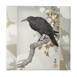 Corvo Koson Japonês Pássaro Corvo