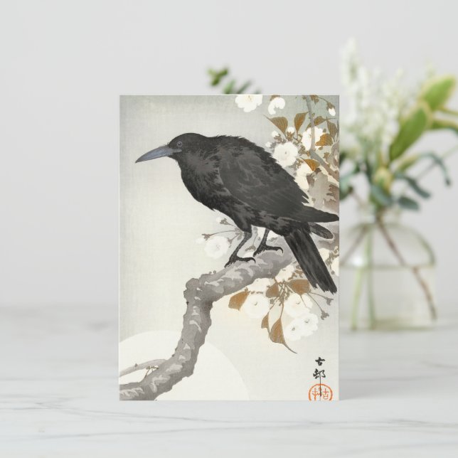 Corvo Koson Japonês Pássaro Corvo (Em pé/Frente)