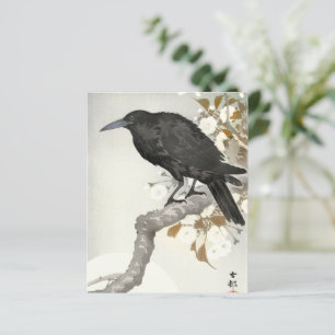 Corvo Koson Japonês Pássaro Corvo