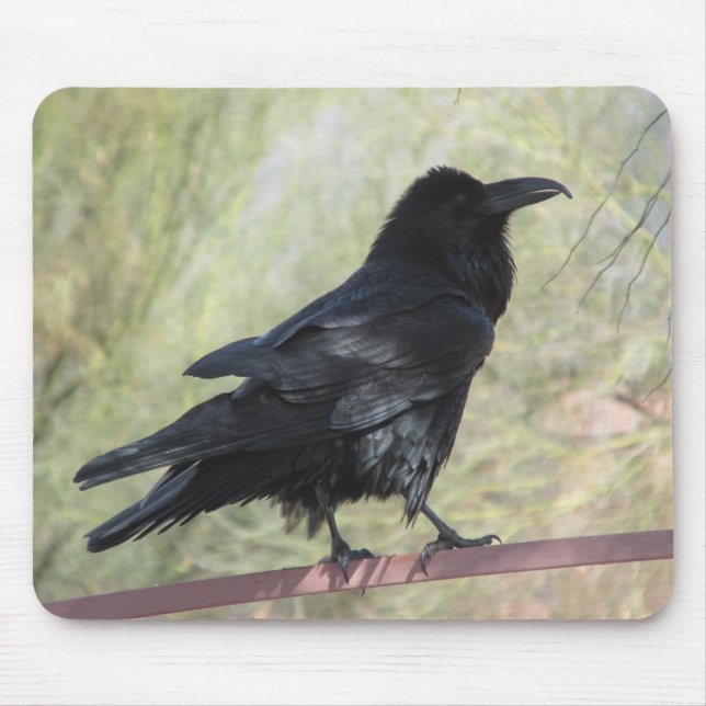Corvo Mousepad (Frente)