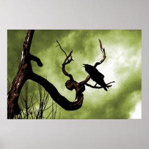 Corvo que empoleira-se em um poster inoperante do