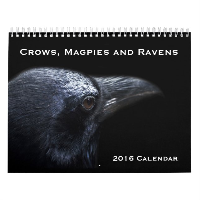 Corvos, Magpies e Ravens 2016 Calendário (Capa)