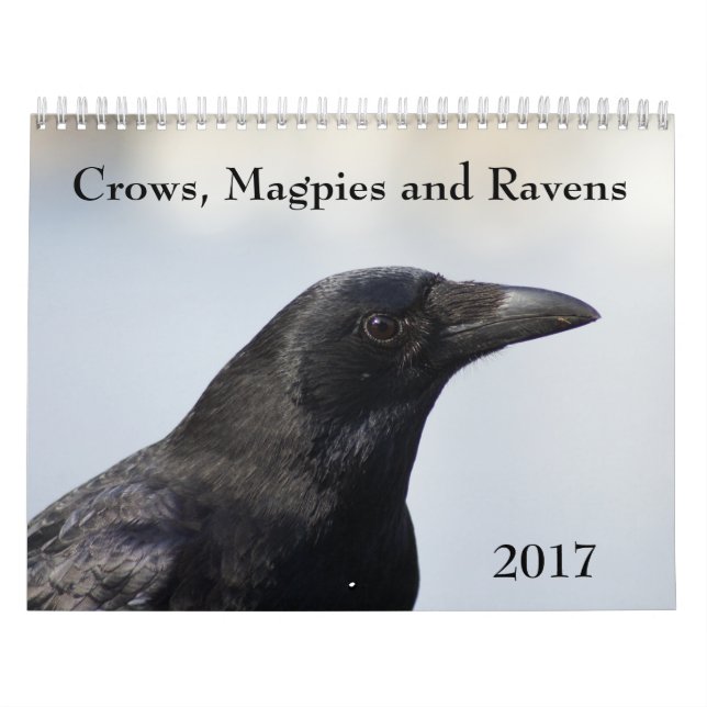 Corvos, Magpies e Ravens Calendário 2017 (Capa)