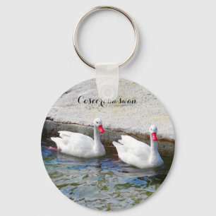 Coscoroba Swan #1 Chaveiro