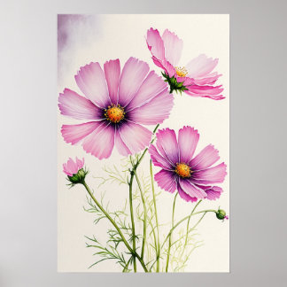Cosmos Rosa Flores Impressão
