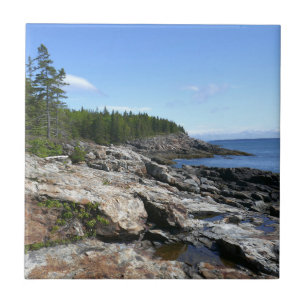 Costa da Ilha Bar no Parque Nacional Acadia