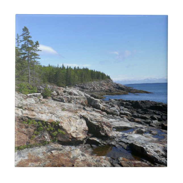 Costa da Ilha Bar no Parque Nacional Acadia (Frente)