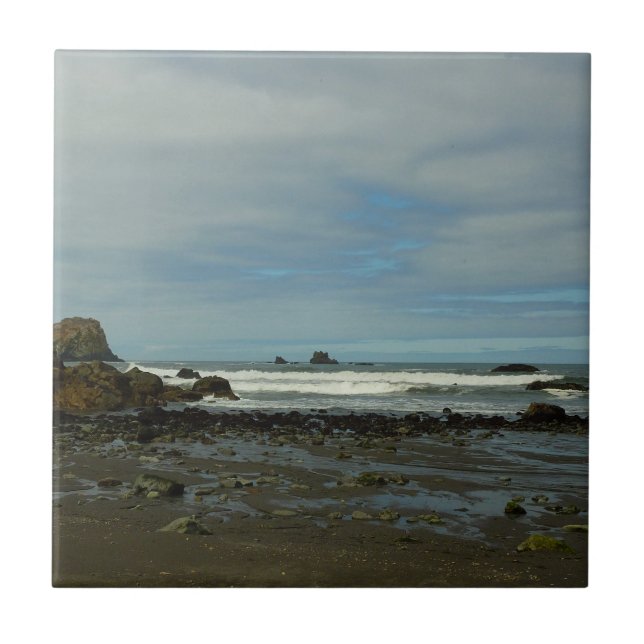 Costa do Pacífico no Parque Nacional Redwood (Frente)
