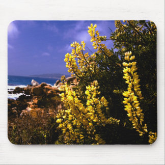 Costa floral Mousepad de Califórnia