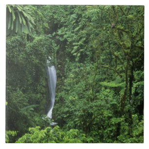 Costa Rica, área do vulcão Arenal, pontes de enfor