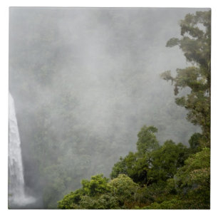 Costa Rica, floresta nublada nas montanhas perto d