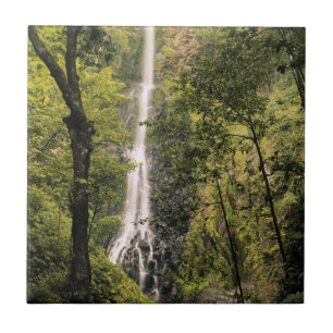 Costa Rica, Ilha do Coco, Cachoeira da Baía Wafer
