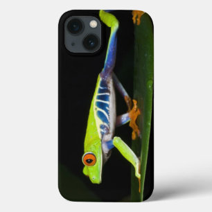 Costa Rica, Red-eyed Tree Frog (Agalychnis