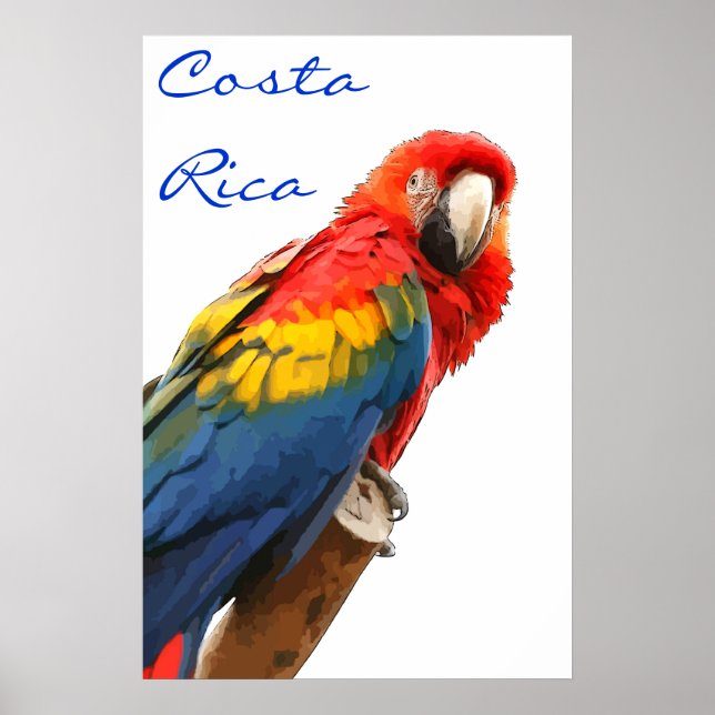 Costa Rica Scarlet Macaw Poster (Frente)