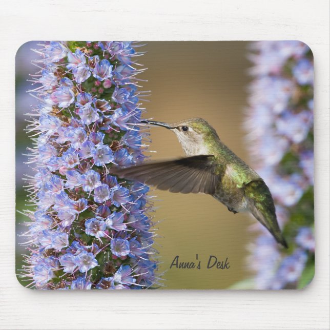 Costume Mousepad da flor do colibri (Frente)