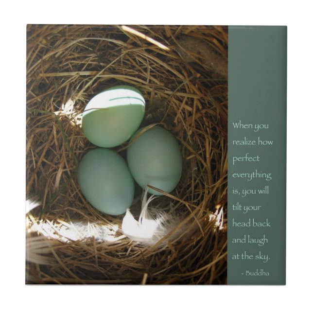 Cota Bluebird c/ Buddha (Frente)