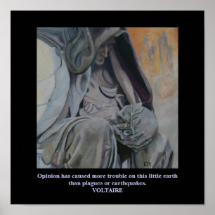 Cota Voltaire - Poster