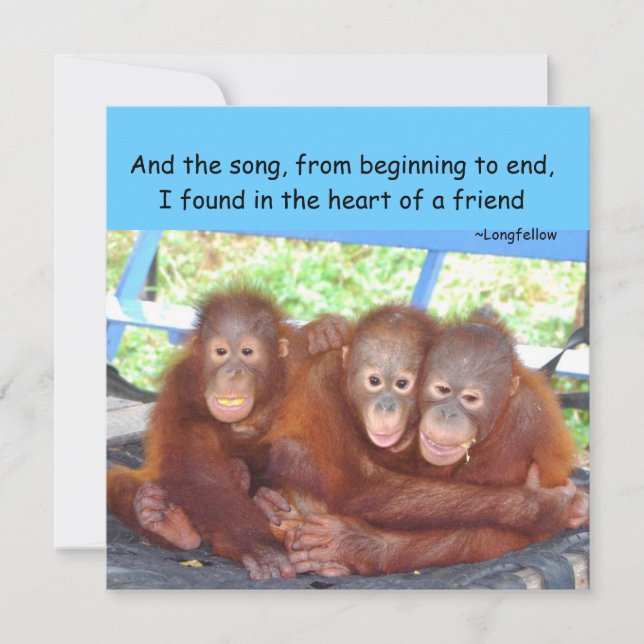 Cotação de Amizade (Frente)