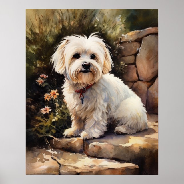 Coton De Tulear Dog Art Impressão (Frente)