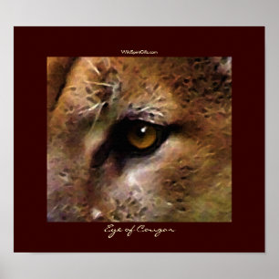 COUGAR EYE Art Poster