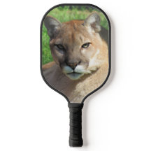 Cougar / Puma / Pickleball Pickleball Flórida