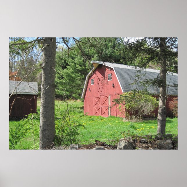 Country Barn Poster (Frente)