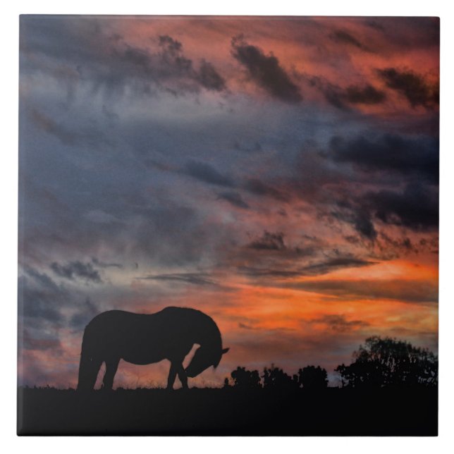 Country Sunrise (Frente)