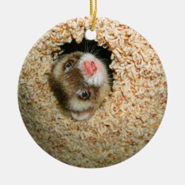 Couro cru - e - ornamento de Pauley da busca (Frente)