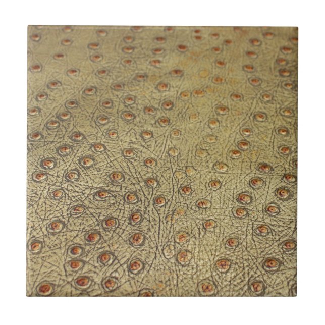 COURO TEXTURED DA AVESTRUZ DO FALSO (Frente)