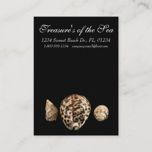 Cowrie Cones 2 Cartão de visita