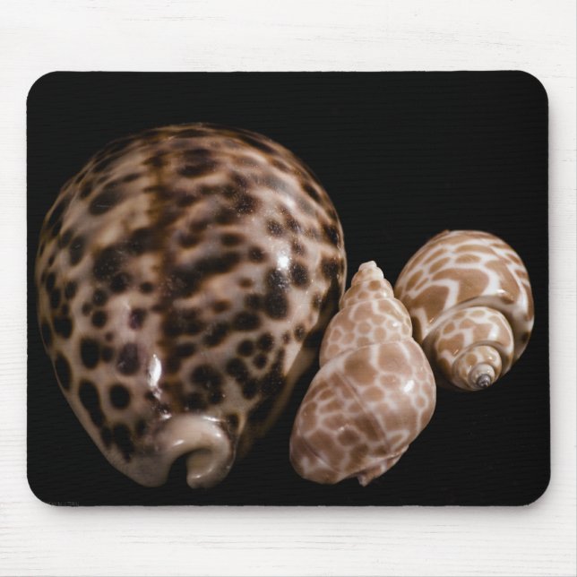 Cowrie Cones Mousepad (Frente)