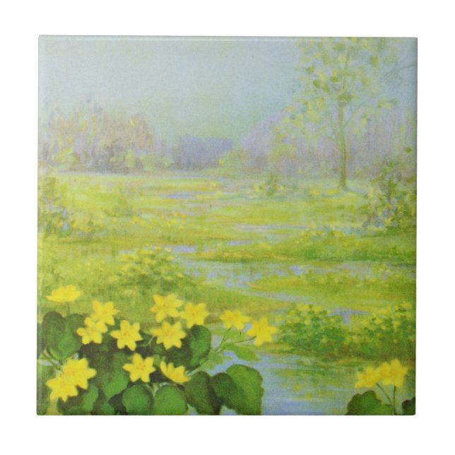 Cowslip de Cargill, 1937 (Frente)