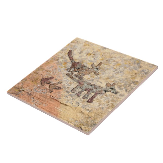 Coyotes Petroglicóis na Arizona (Lateral)