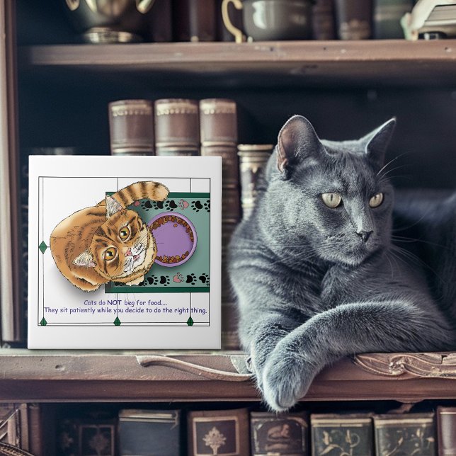 Cozinha de Comida Laranja Tabby (Criador carregado)