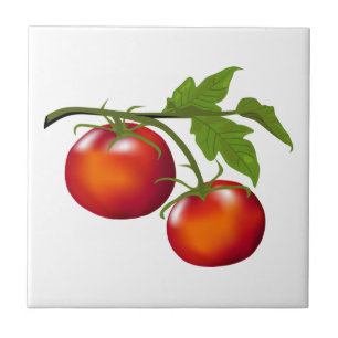 Cozinha de tomate