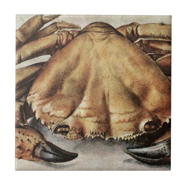 Crab (Creature Under the Sea) (by Albrecht Durer) (Frente)