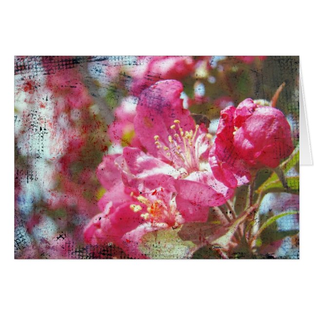 Crabapple Blossoms Todas as Ocasiões Cartão (Frente Horizontal)