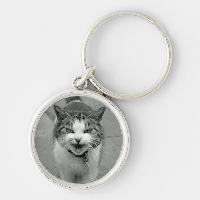 Crabby Cat Chaveiro (Frente)