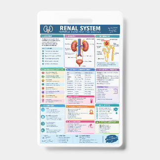 Crachá Análise do Sistema Renal Referência de Enfermagem,