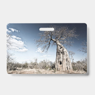 Crachá Árvore Baobá no Parque Nacional de Mana Pools, Zim