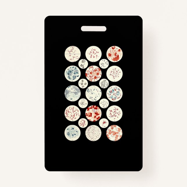 Crachá bactéria engraçada microbiologia bactéria ciência  (Frente)